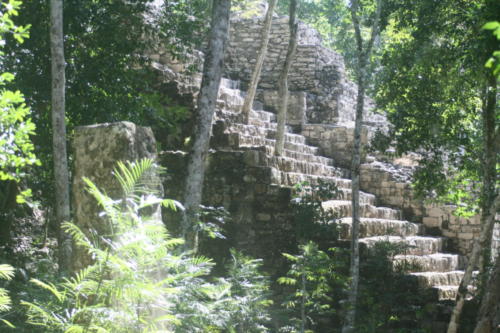 Calakmul - Mexico
