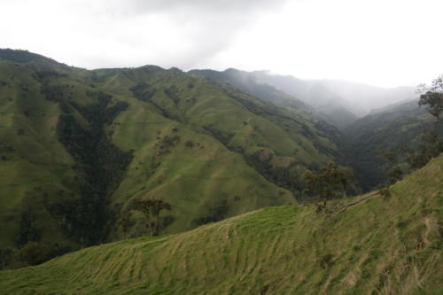 Valle de cocora- Colombie